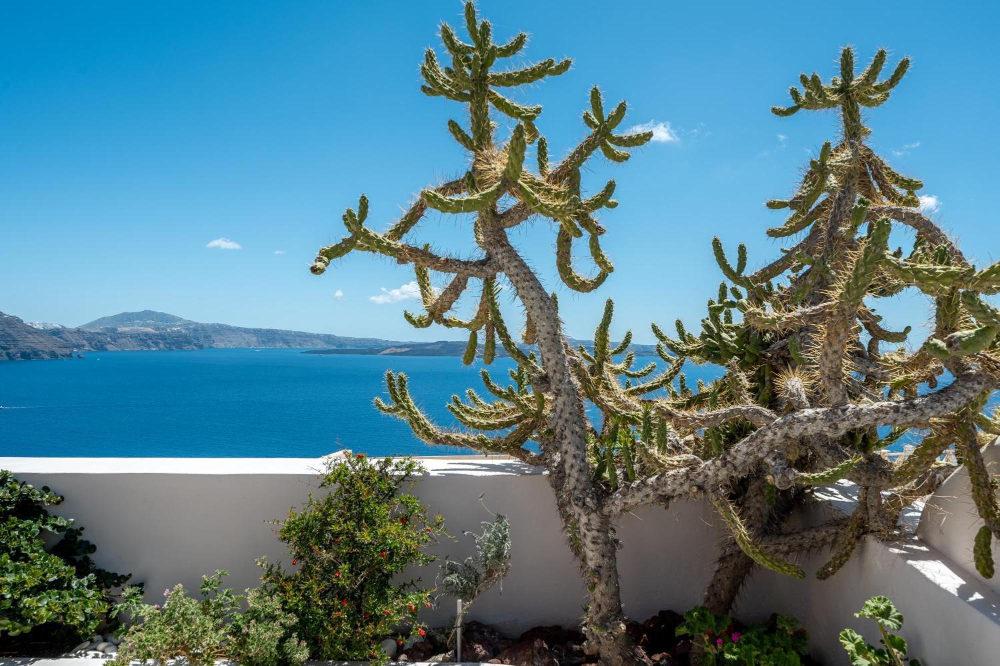 Passion Blue Villas Oía Dış mekan fotoğraf